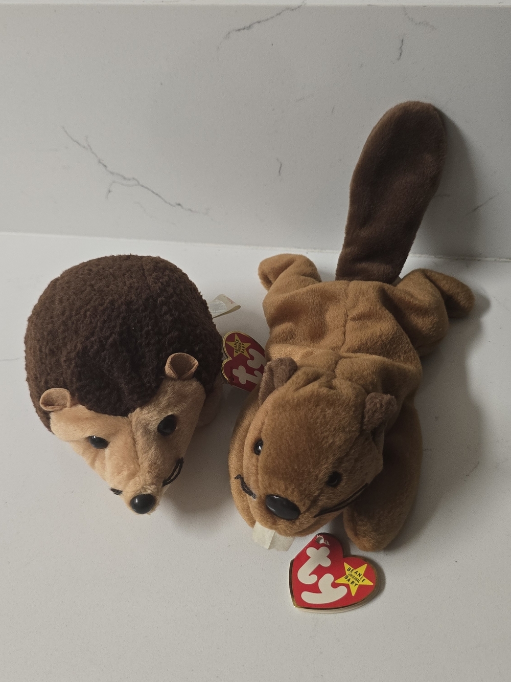 Prickles & Bucky Ty Beanie Babies